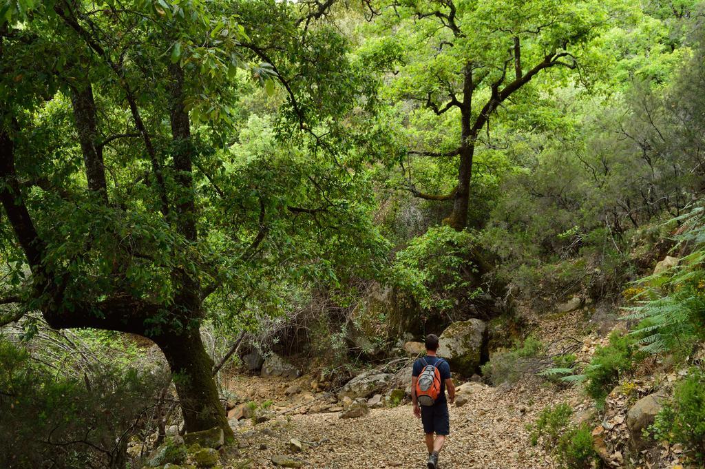 Casa Rural Ahoraya El Colmenar Esterno foto