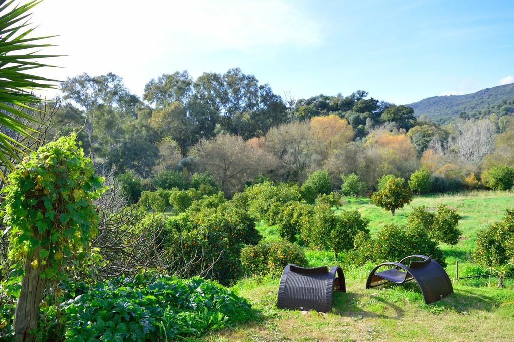 Casa Rural Ahoraya Affittacamere El Colmenar Esterno foto