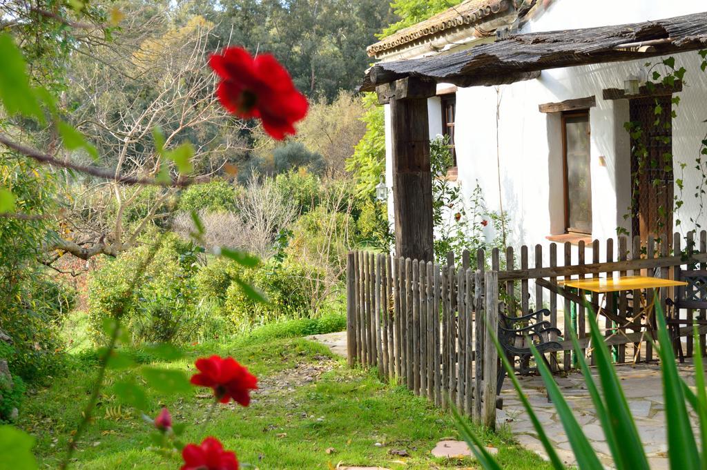 Casa Rural Ahoraya Affittacamere El Colmenar Esterno foto