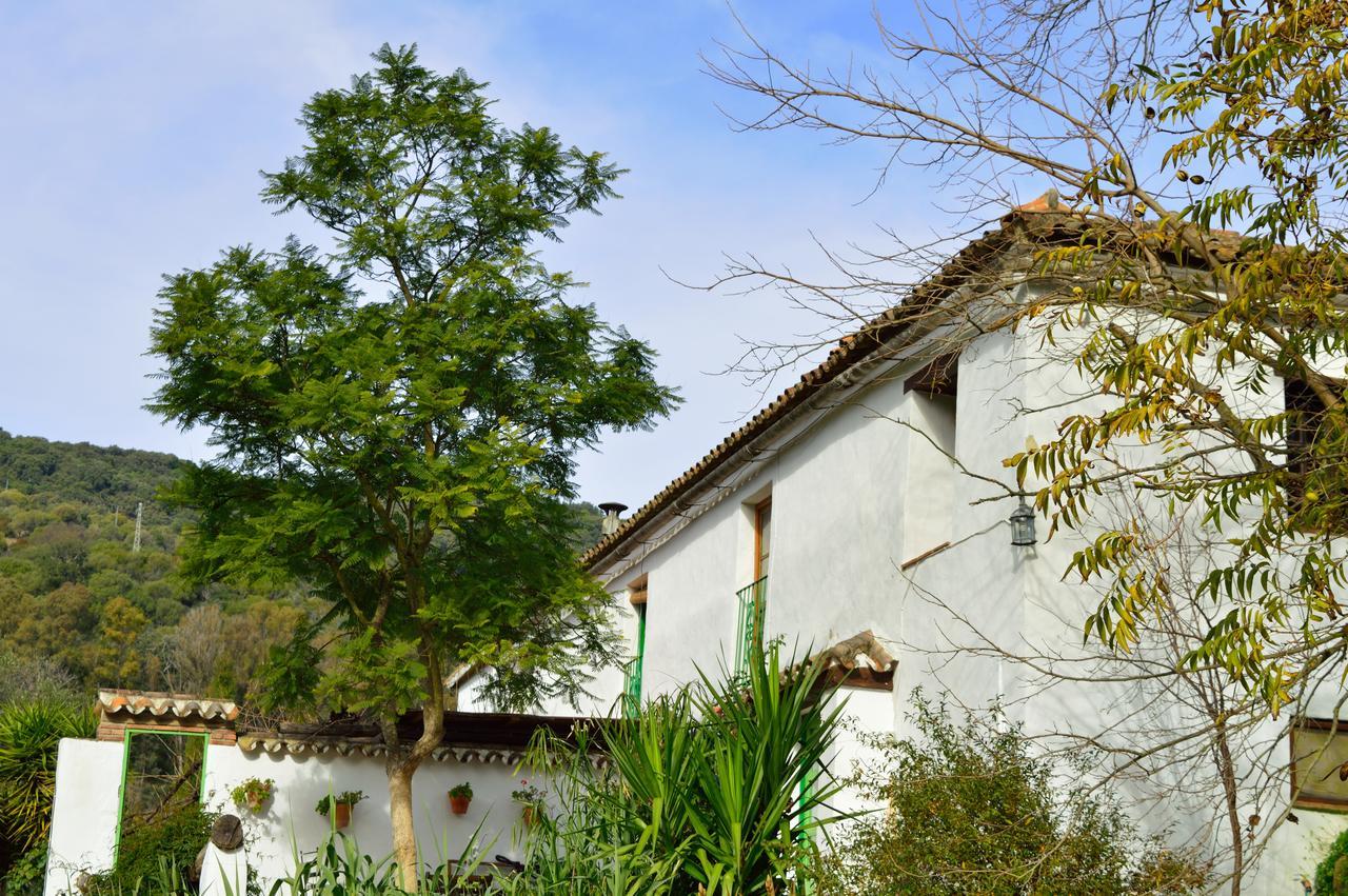 Casa Rural Ahoraya Affittacamere El Colmenar Esterno foto