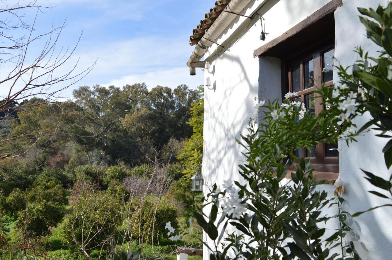 Casa Rural Ahoraya Affittacamere El Colmenar Esterno foto